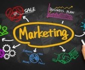 Robusta tuyển dụng thực tập sinh Marketing