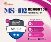 Chinh phục Microsoft 365: Trở thành quản trị viên chuyên nghiệp cùng Robusta