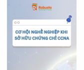 Cơ Hội Nghề Nghiệp Khi Sở Hữu Chứng Chỉ CCNA